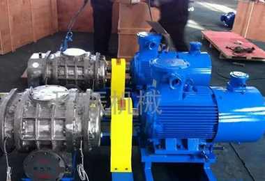 羅茨風機 羅茨風機